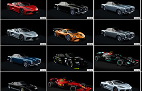 Racetracks and Cars 3D Models (c4d fbx) - 3dmodel