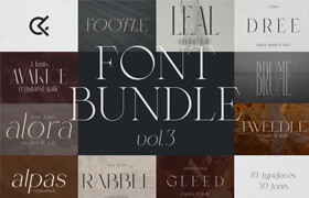 Tropical Type - The Modern Font Bundle Vol.3 - 字体