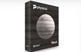 CGAXIS - Physical Wood PBR Textures 2024
