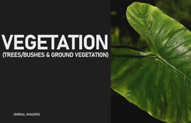 Udemy - Unreal Shader - Vegetation