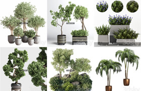41组植物盆栽模型合集