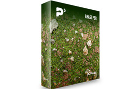 CGAxis - Physical 5 - PBR Textures - Grass 8K+SBSAR