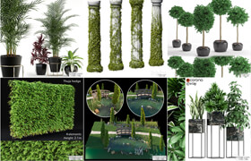 20个植物盆栽模型合集
