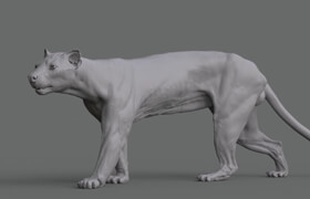 The Gnomon Workshop - Animal Anatomy - Modeling a Fossa