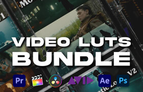 Cinegrams - The Full LUT Bundle