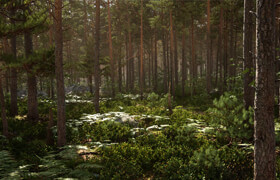RealBiomes - Scots Pine Forest [UE4-5]