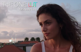 The One Lut - iPhone 15