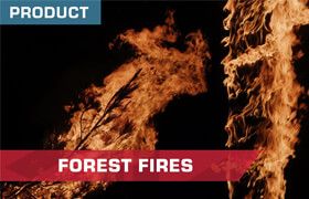 ActionVFX - Forest Fires 4k - 视频素材