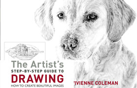 The Artist's Step-by-Step Guide to Drawing How to Create Beautiful Images - book