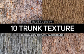10 Tree Trunk Textures - 贴图