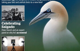 Amateur Photographer - 23 April 2024 (PDF) - book