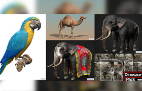 5 Animal 3d models