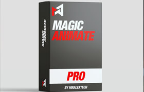 MagicAnimate for Davinci Resolve