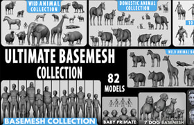 Superhive - Ultimate Basemesh Collection - 模型