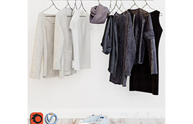Wardrobe in the Scandinavian interior