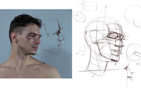 Proko - Michael Hampton - Head Drawing and Construction