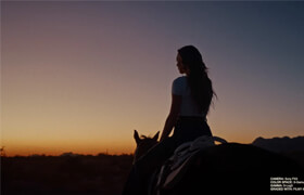 Filmycolor - Filmy PowerGrade + LUTs by Danny Gevirtz - lut