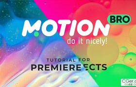Motion Bro for AE & PR