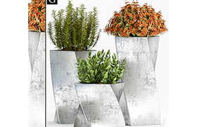 PLANT-48