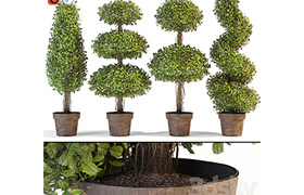 Set of decorative trees