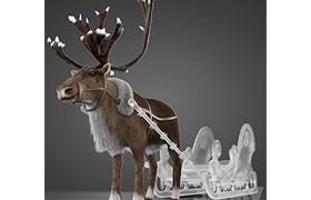 North Deer