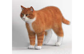 Red Cat