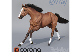 Running horse 02