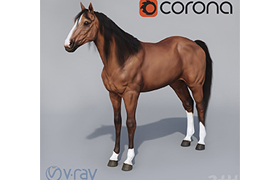 Standing horse
