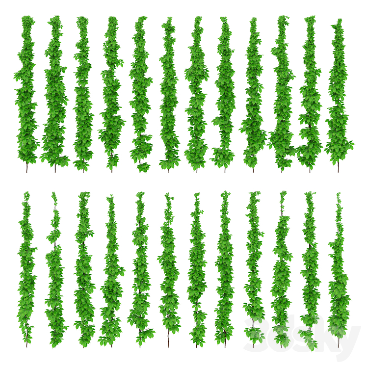 578782.57736d63659ed.jpg