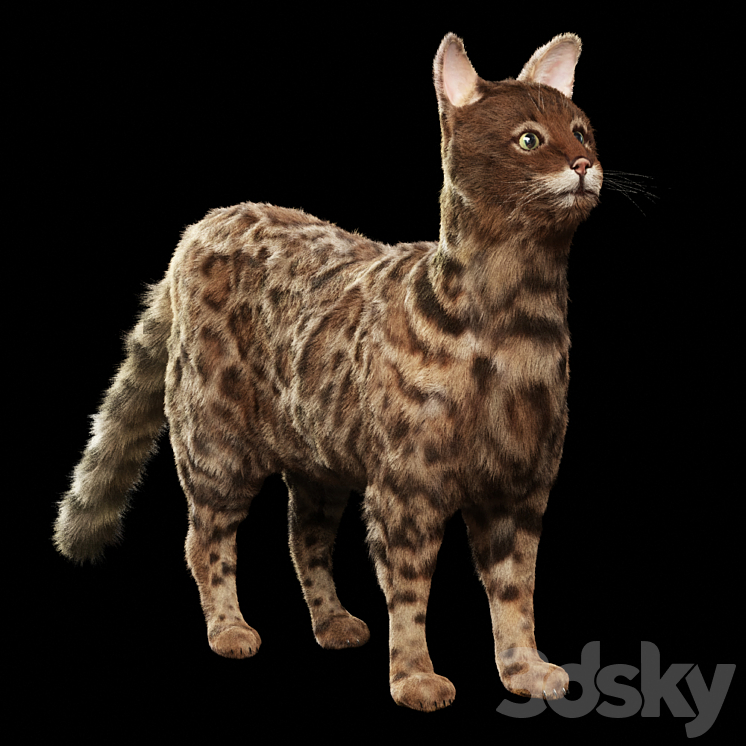 1029192.58f8caa1aa8bd.jpg 1029192.58f8caa1aa8bd.jpg