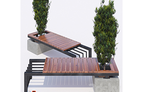 bench and thuja