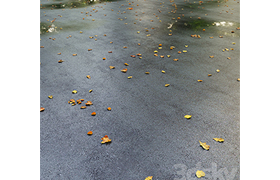 Wet asphalt with leaves Autumn Editable