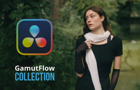 Jacques Crafford - GamutFlow Collection