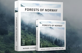 Just Sound Effects - Forests of Norway Surround (WAV) - 声音素材