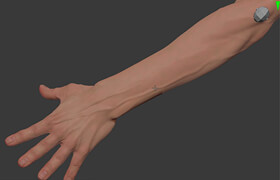 Artstation - Neutral Hand Tutorial