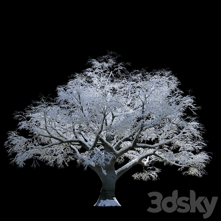 899594.58aaf2941c439.jpg