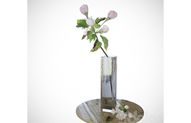 Apple tree branch