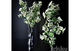 A branch of jasmine