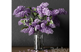 PLANT_004