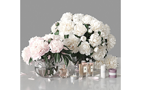 Peonies 2