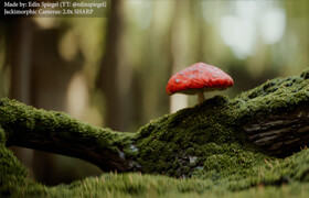 Jackimorphic Camera Pack