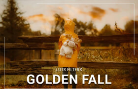 3motional - 30 Golden Fall LUT Collection - lut