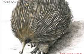 Artists Drawing and Inspiration - Issue 59, 2025 (True PDF) - book