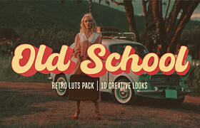 Motion Array - Old School LUTs