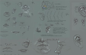 Udemy - Rey's Anatomy 8-week Anatomy Course