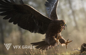 VFX Grace - Animals Pack - 20 3D Models - 模型