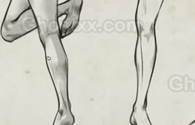 Gumroad - Character Fundamentals with Yana Bogatch