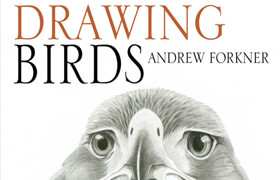 Drawing Birds by Andrew Forkner (True EPUB) - book