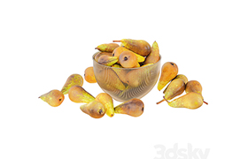 Pear Conference in Decorative Metal Vase