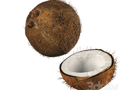 4k coconut 02